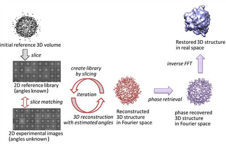 3D structure restoring process