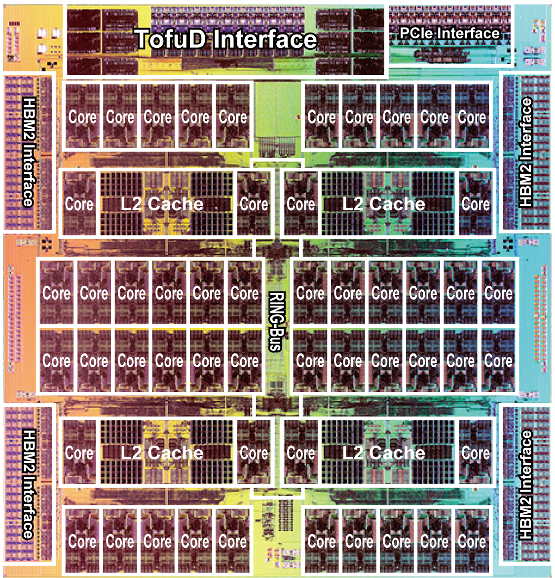 CPU-Die (Image courtesy of Fujitsu) (*) Click to enlarge