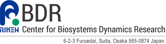 Center for Biosysytem Dynamics Research