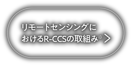 大阪・関西万博アクションプラン「リモートセンシング技術による高精度データの解析及びリアルタイム配信の実証」​におけるR-CCSの取組み
