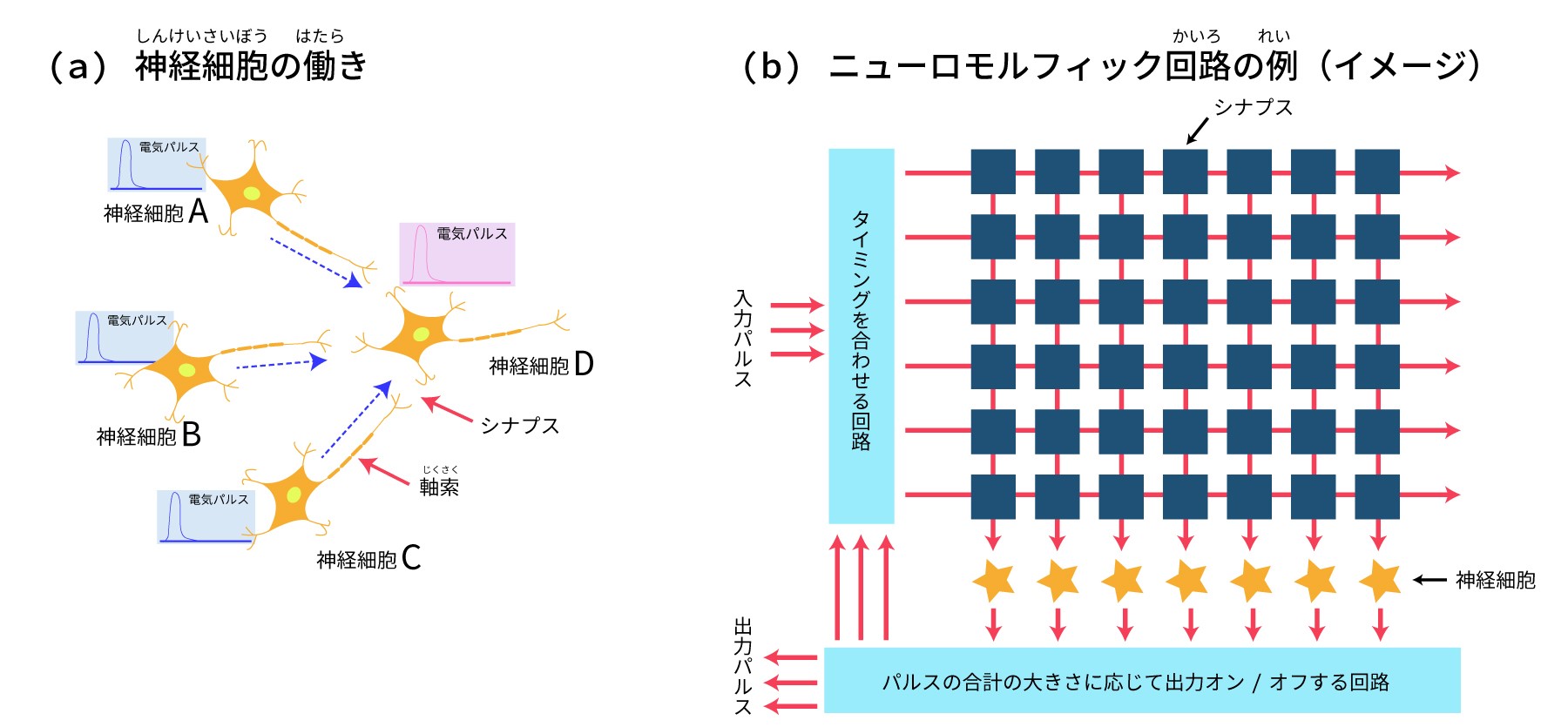 図2　ニューロモルフィックコンピュータのしくみ