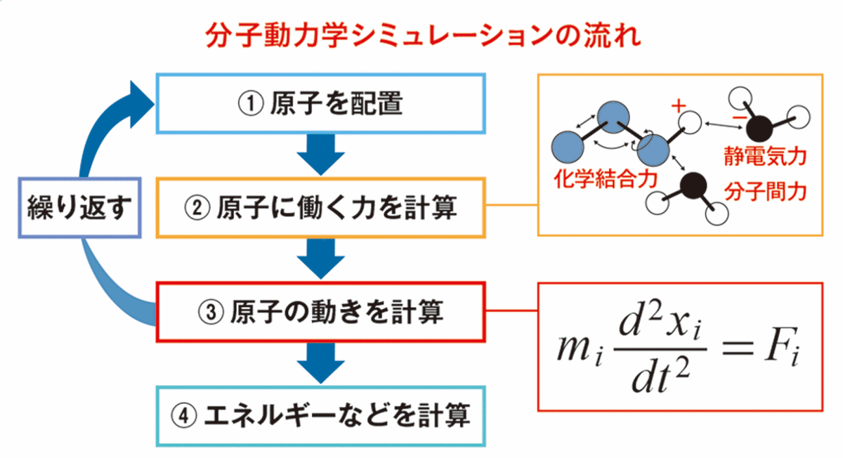 分子動力学シミュレーションの流れ。1. 原子を配置、2. 原子に働く力(化学結合力・静電気力・分子間力)を計算、3. 原子の動きを計算。1~3を繰り返し、4. エネルギーなどを計算する。
