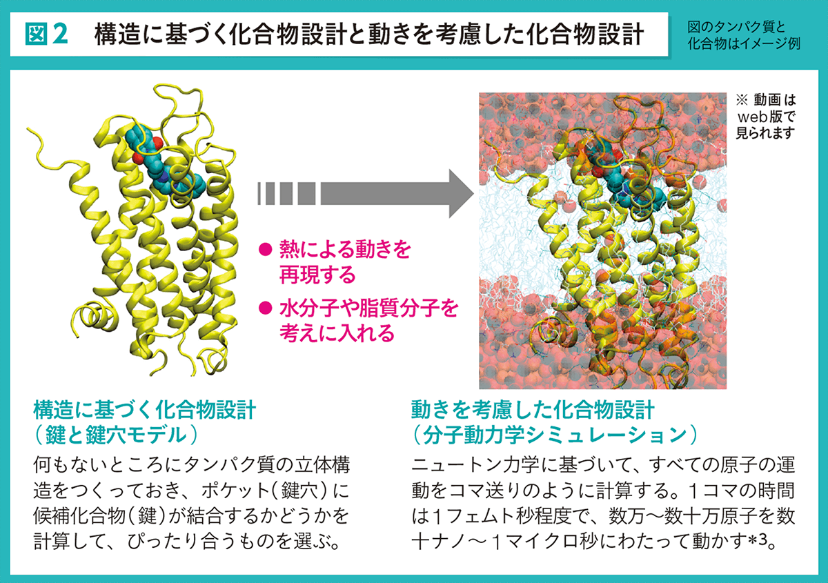 図2 構造に基づく化合物設計と動きを考慮した化合物設計