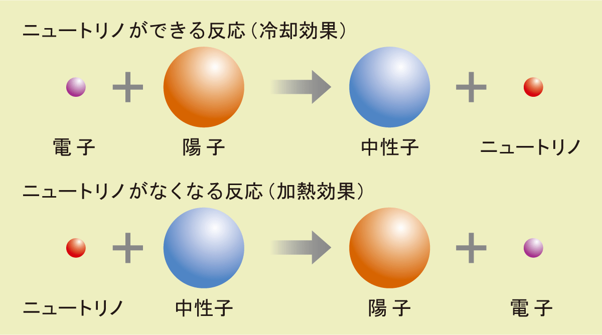 ニュートリノができる反応（冷却効果）とニュートリノがなくなる反応（加熱効果）