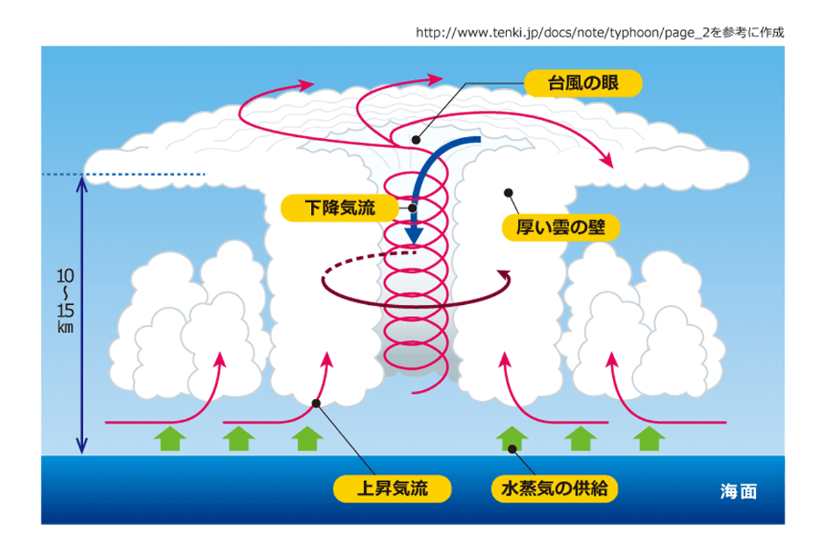 図1 台風の成長