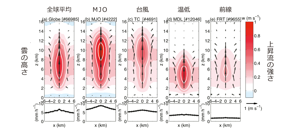 図4 シミュレーションで発生した積乱雲の分析