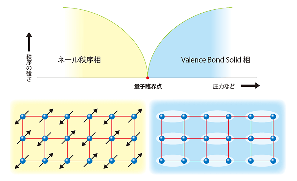 図２　脱閉じ込め量子臨界現象