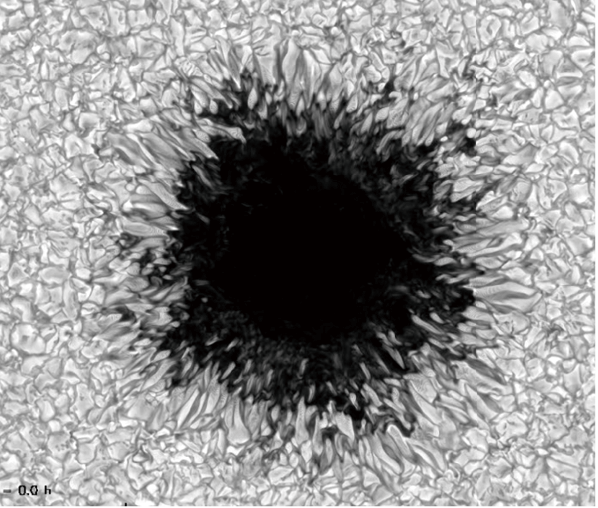 図２　M. Rempel博士による太陽の黒点のシミュレーション画像