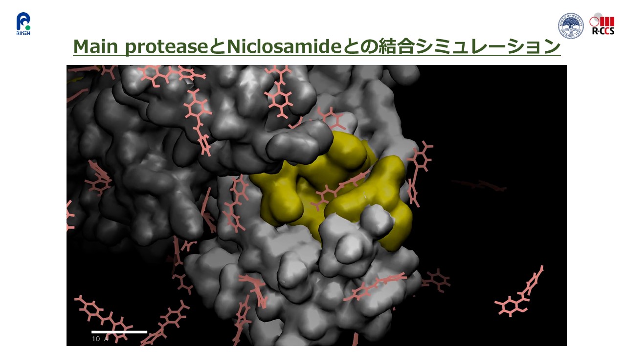 図：Main proteaseとNiclosamideとの結合シミュレーション