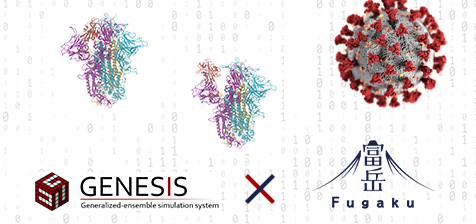 「富岳」を使い新型コロナウイルスの侵入のメカニズムの解明に貢献　～「富岳」による新型コロナウイルス対策その4